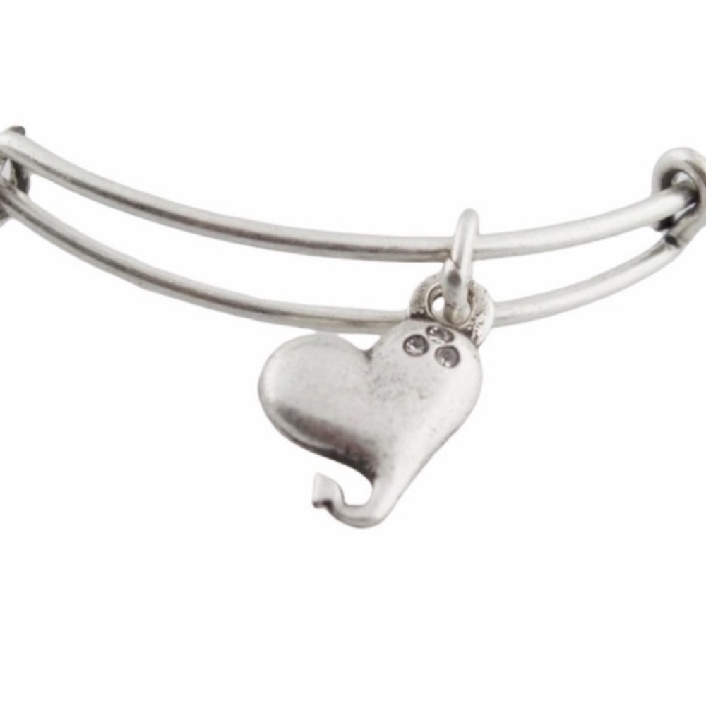 NEW Alex and Ani Rafaelian Silver Cupid's Heart Charm Bangle Bracelet - Picture 2 of 2